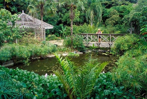 British Virgin Islands: JR O’Neal Botanical Gardens