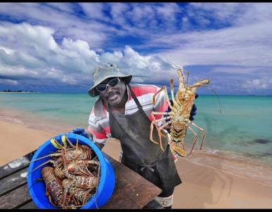 Anegada-Lobster-Festival2.jpg