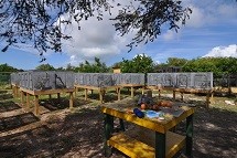 Anegada-Rock-Iguana-Head-Start-Facility.jpg