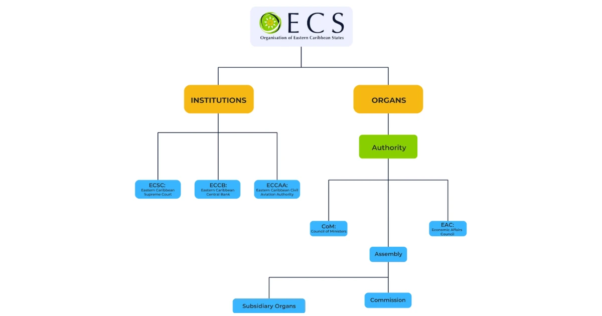 Our Structure