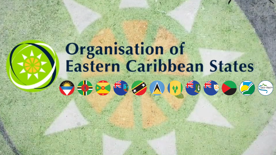 OECS Flag Image with OECS Logo