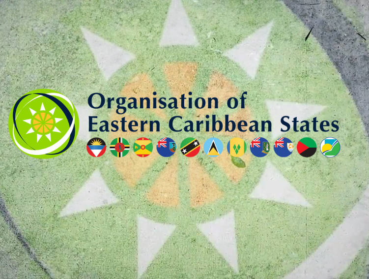 OECS Flag Image with OECS Logo