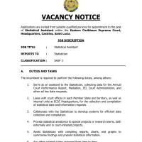 Eastern Caribbean Supreme Court  -  Statistical Assistant