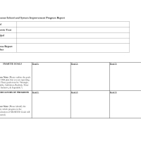 CSSI Plan Grant Progress Report Template