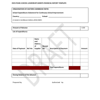 Financial Report Template