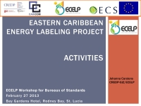 ECELP Activities 2013