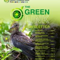 OECS GREENLINK: Volume 1 | Issue 3