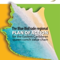 The Blue BioTrade regional Plan of Action for the Eastern Caribbean queen conch value chain