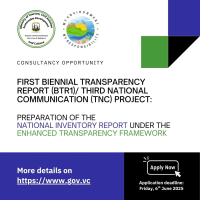 Saint Vincent and the Grenadines: First Biennial Transparency Report (BTR1) and Third National Communication (TNC) - Preparation of the National Inventory Report Under the Enhanced Transparency Framework (ETF)